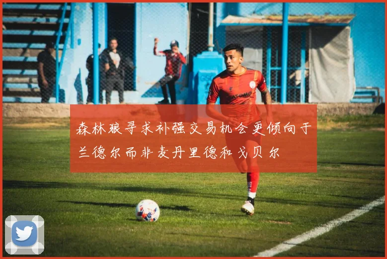 森林狼寻求补强交易机会更倾向于兰德尔而非麦丹里德和戈贝尔