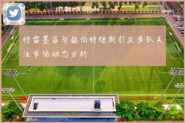 特雷墨菲与赫伯特琼斯引发多队关注市场动态分析